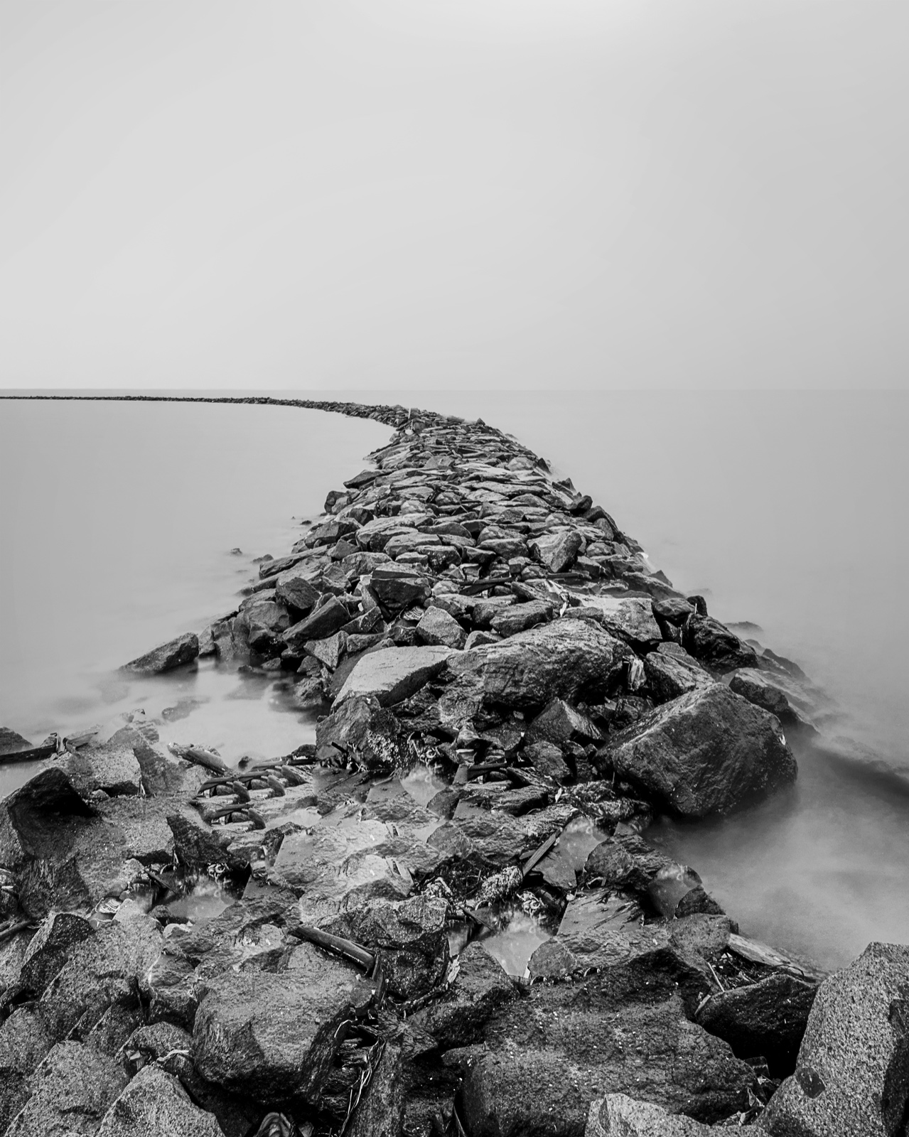 DSC01576 web cropped