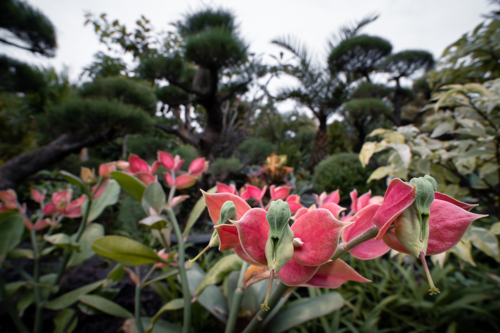 338AC0BD 905C 4BED A03C 653A50E003CE