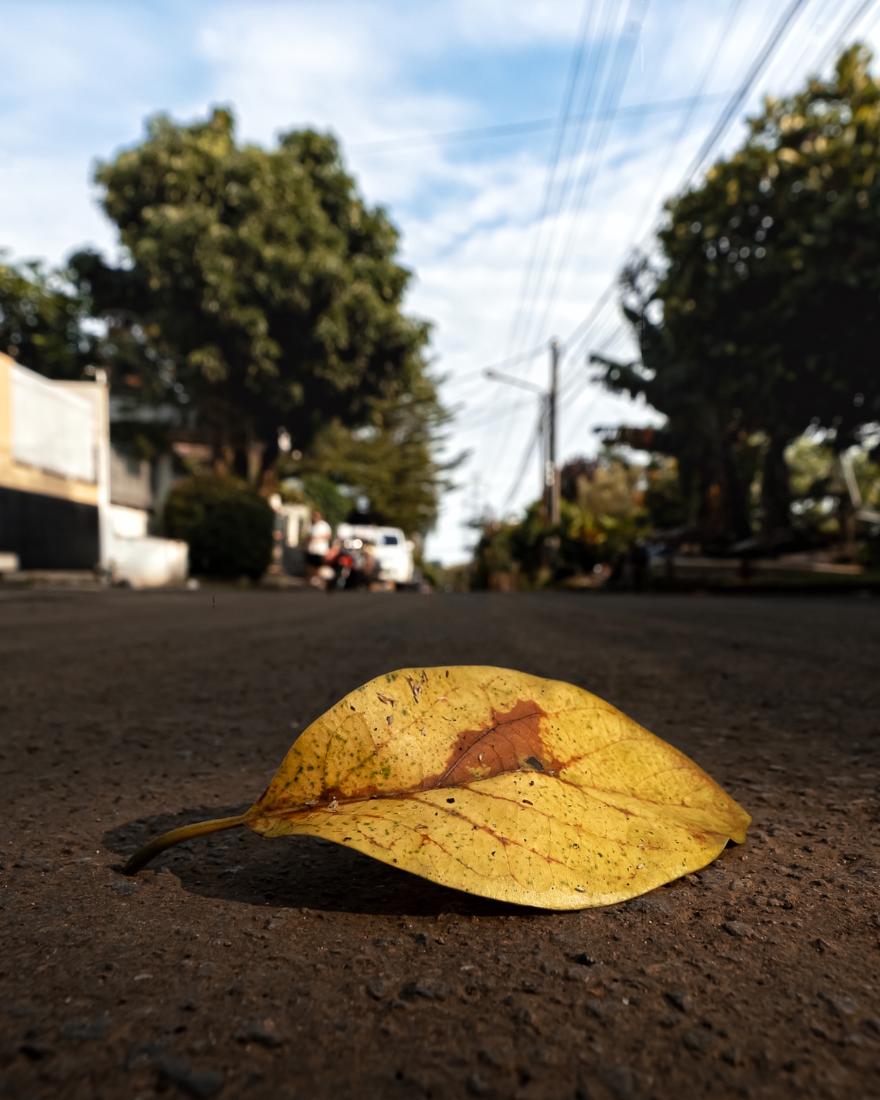 773392A3 0D4E 4356 A02F E7A32517A368