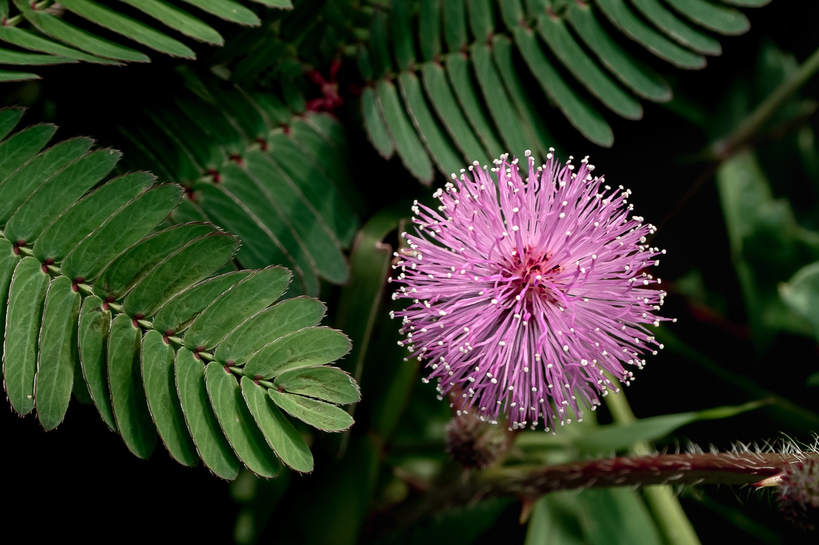 8264FB32 9B35 4D6C A79D 24B9FDED3C61