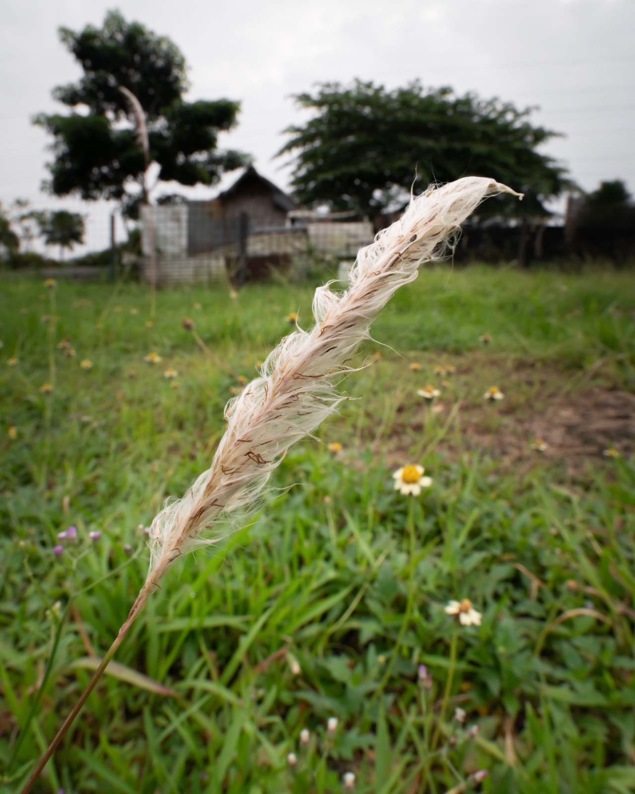 851ACBA6 06CC 4A5E A981 8F5255F7A618