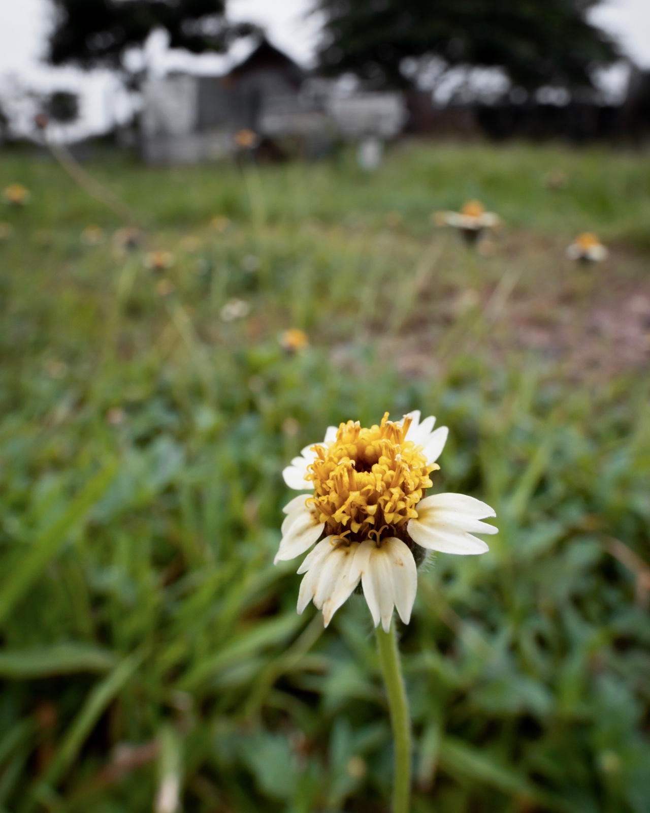 9CA671FE 1924 40B1 B0D3 4CD46A89D9CA