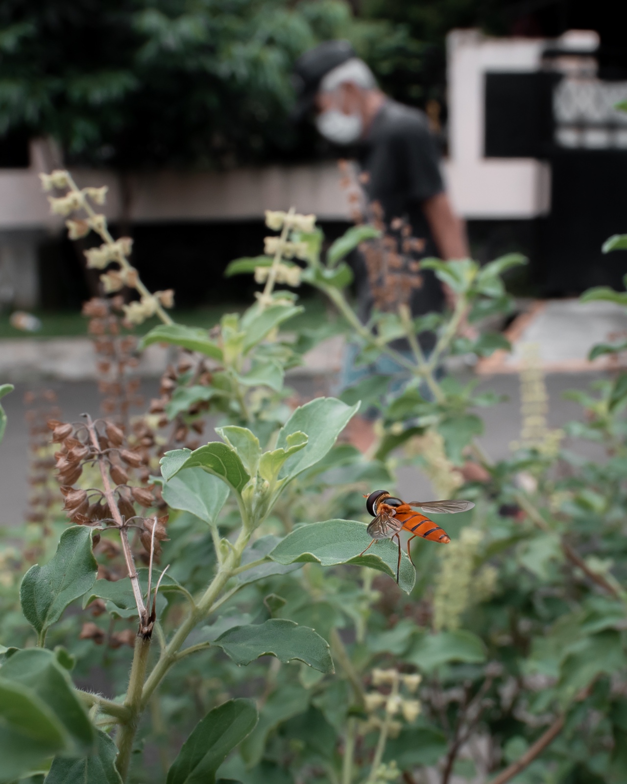 DF58C524 15D8 4055 85AF 0BE569A31EA2