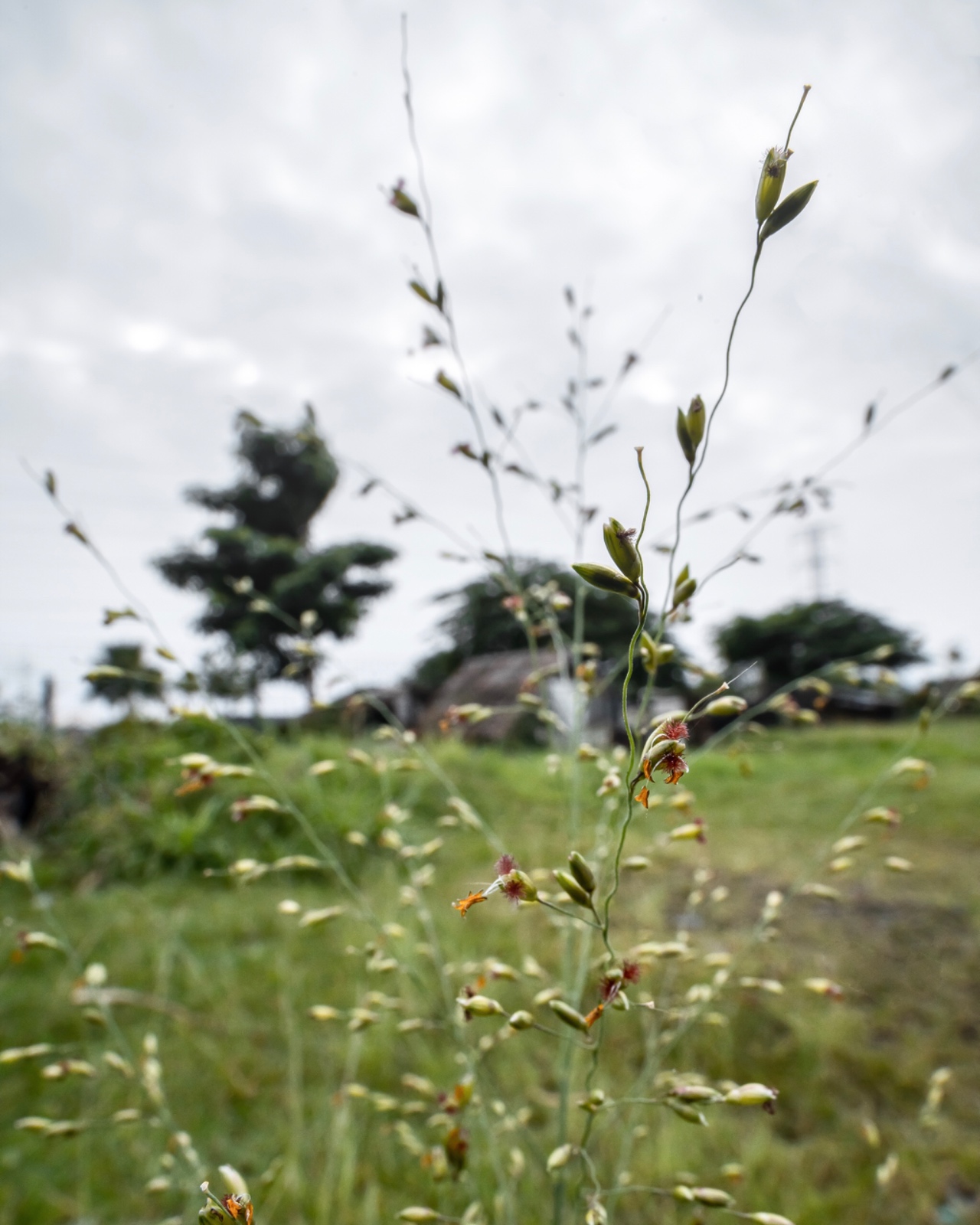 E42E7254 1DCA 40C7 AAF7 BE6A0C7359A3