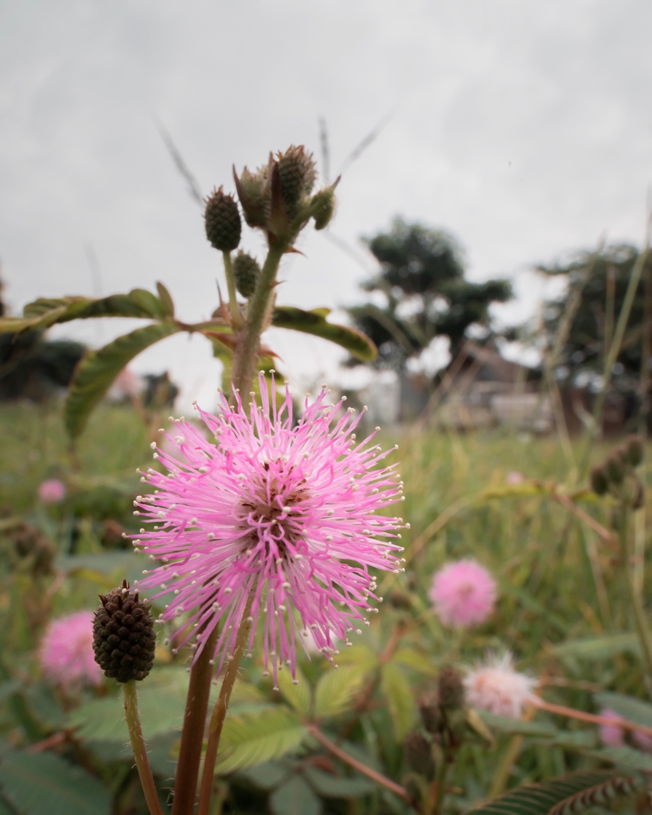 EE3F21C3 A33F 4720 9A61 31BE26CE2D4A